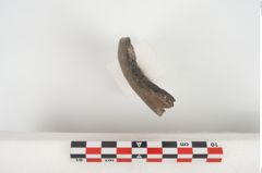 Foto von Eisenkonvolut (NHMW-PRAE-094301)